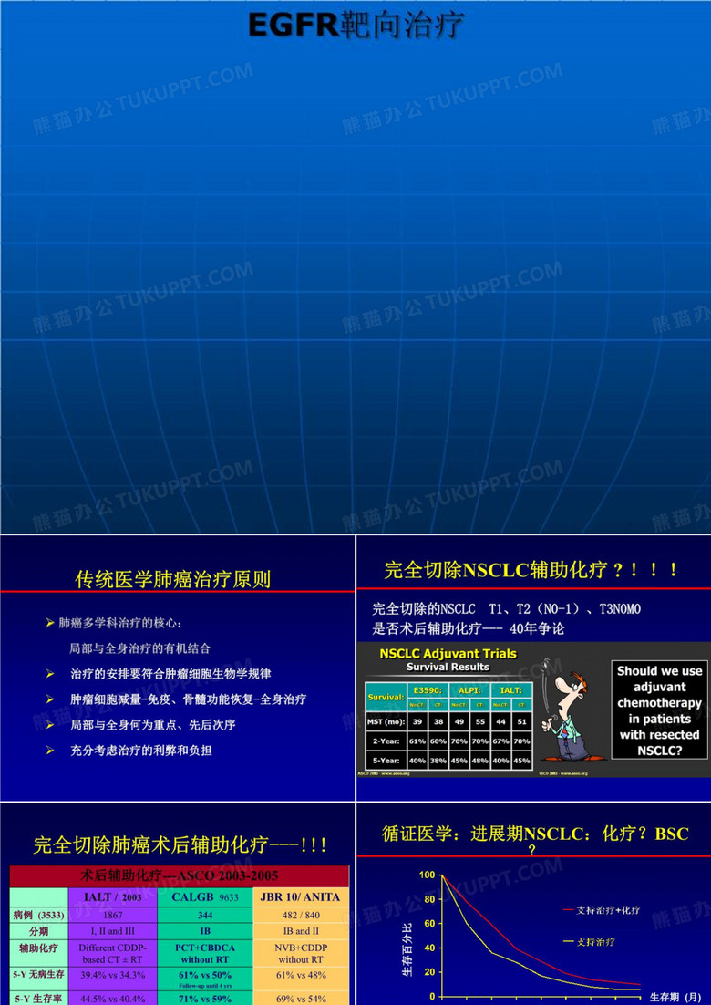 EGFR靶向治疗