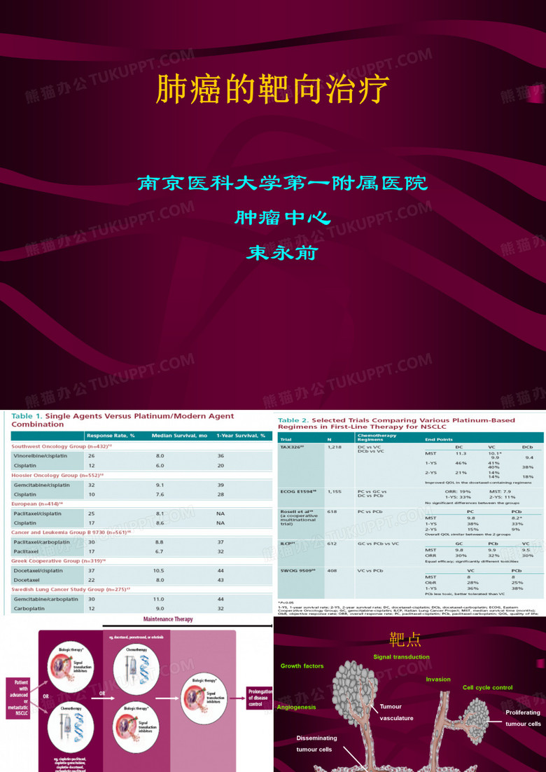 肺癌的靶向治疗