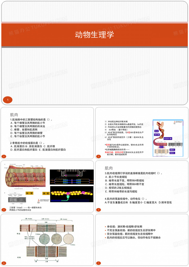 动物生理学