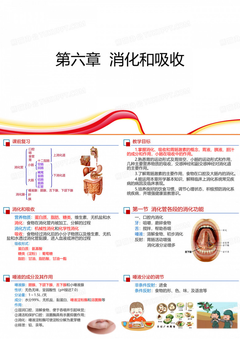 生理学-6消化和吸收