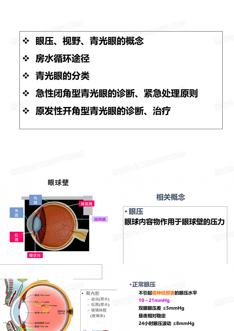 上海普瑞眼科医院青光眼讲座
