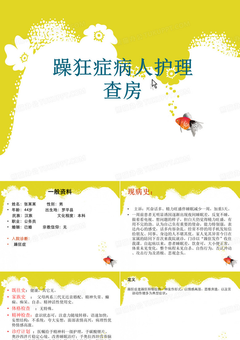 躁狂症护理查房