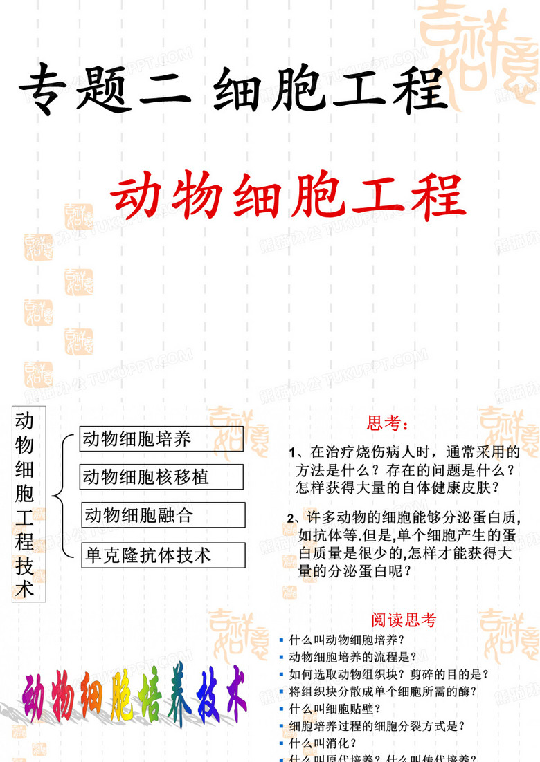 动物细胞培养和动物细胞核移植