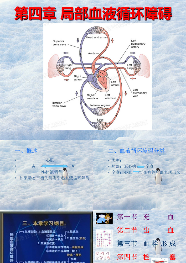 局部血液循环障碍