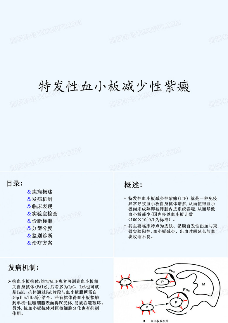 特发性血小板减少性紫癜ppt