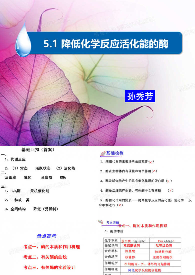 降低化学反应活化能的酶