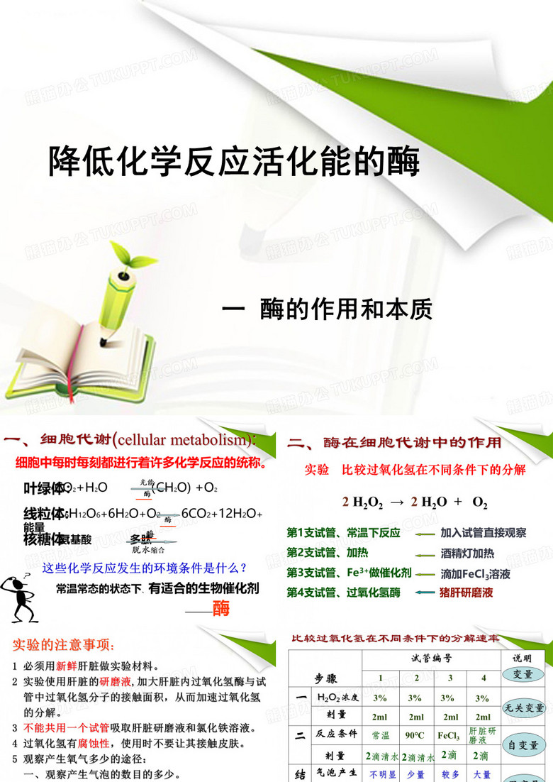 降低化学反应活化能的酶