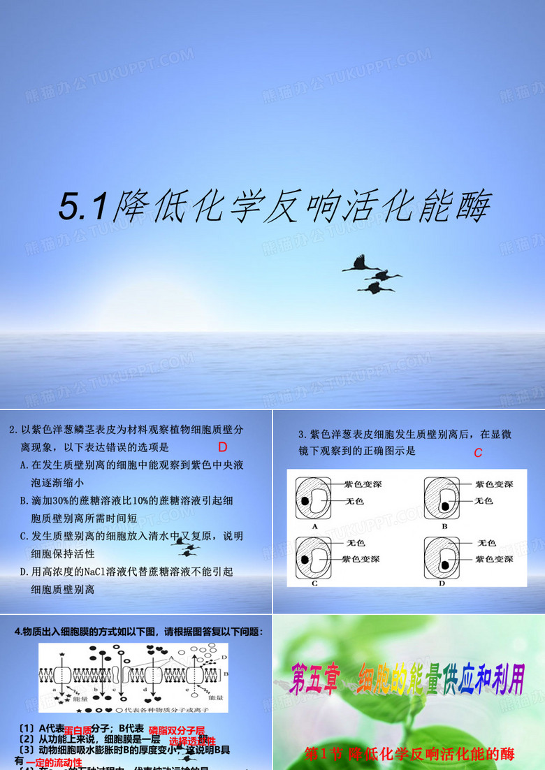 降低化学反应活化能酶