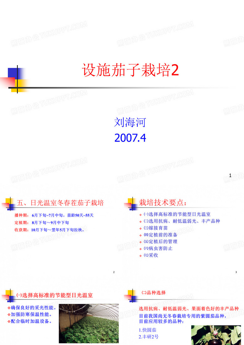 茄子栽培