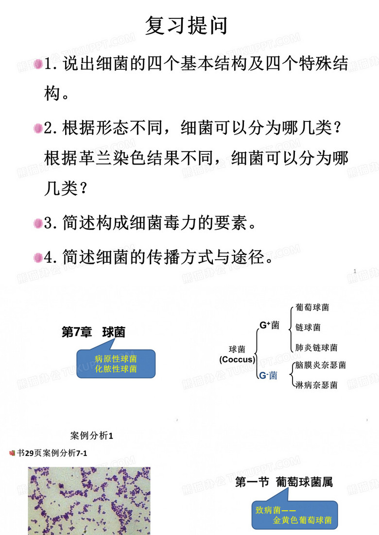 球菌
