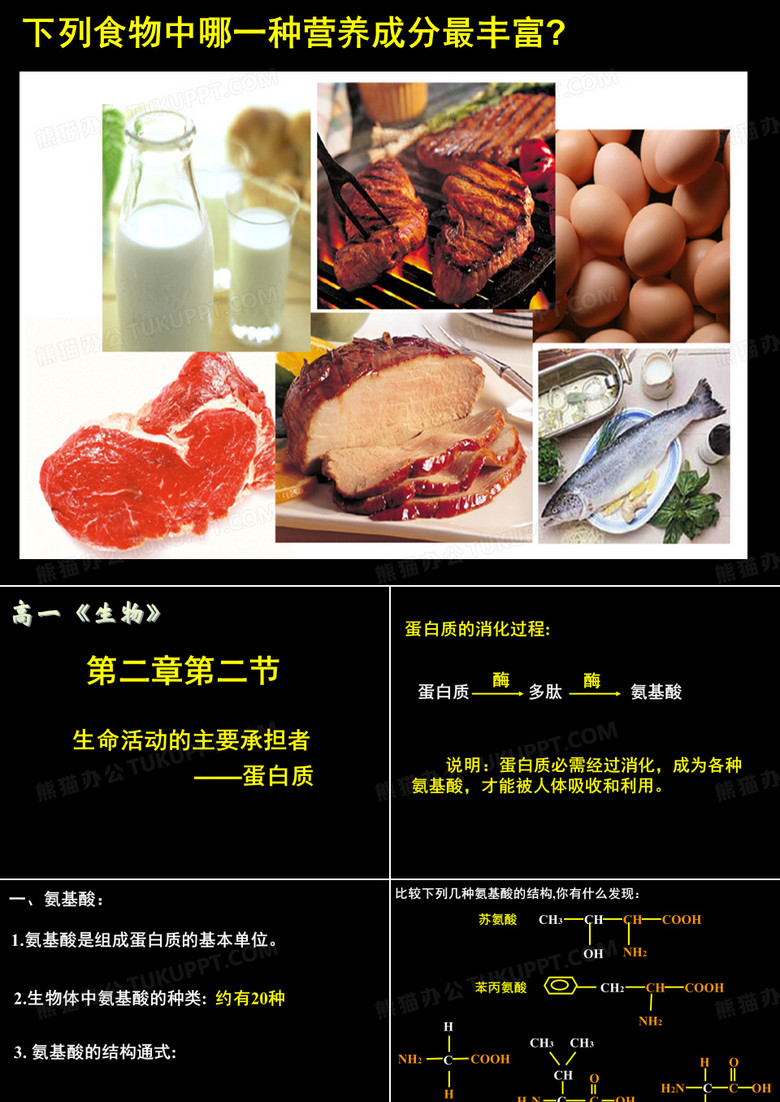 生命活动的主要承担者——蛋白质