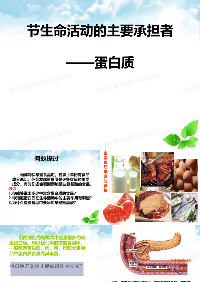 生命活动的主要承担者——蛋白质