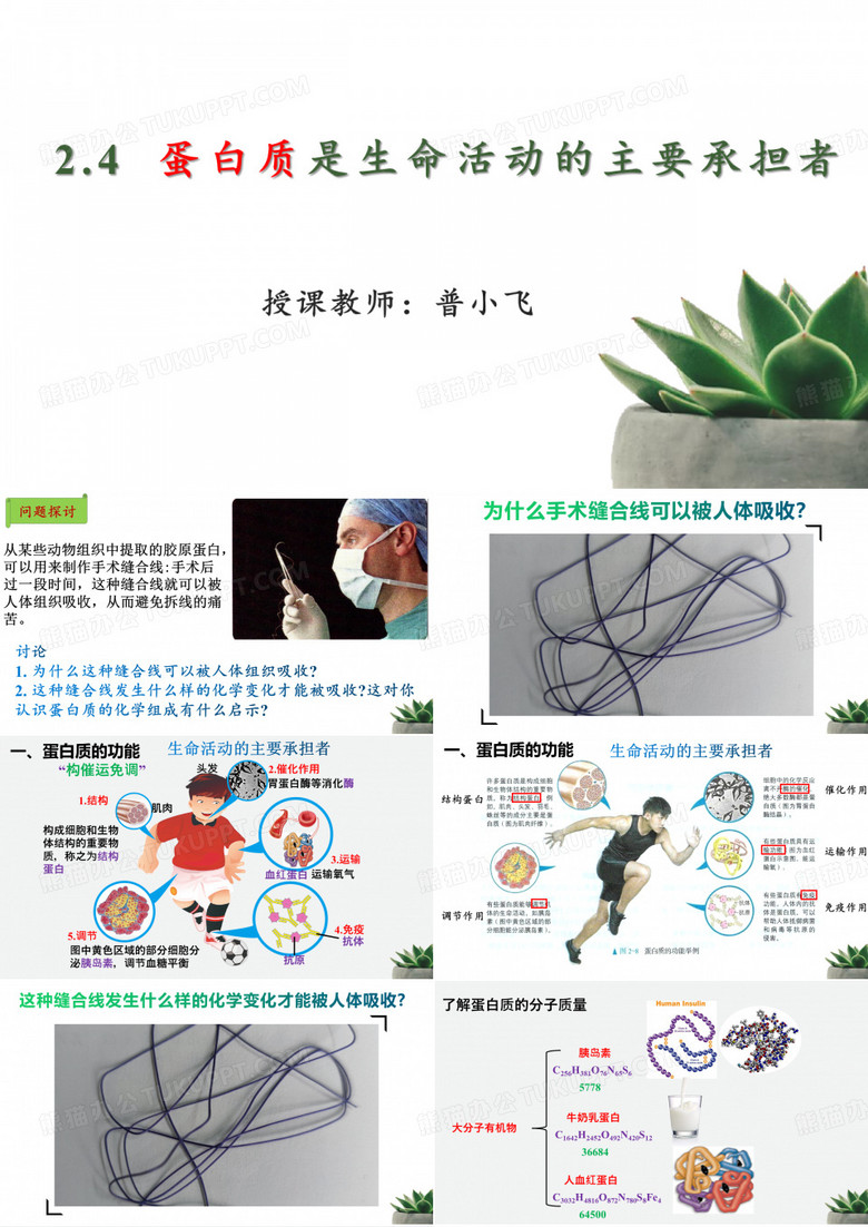 蛋白质是生命活动的主要承担者