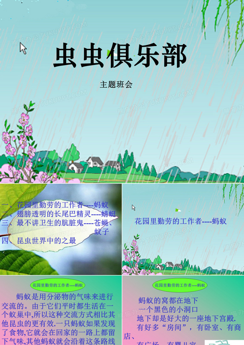 虫虫俱乐部