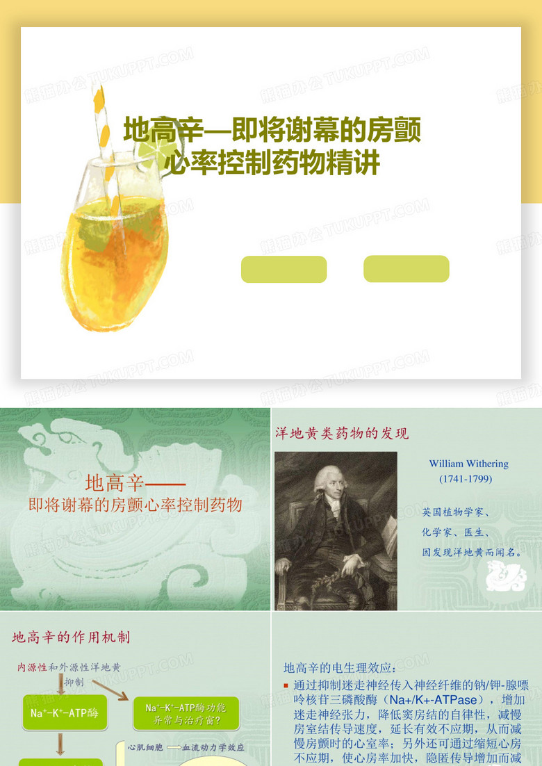 地高辛—即将谢幕的房颤心率控制药物精讲共35页文档