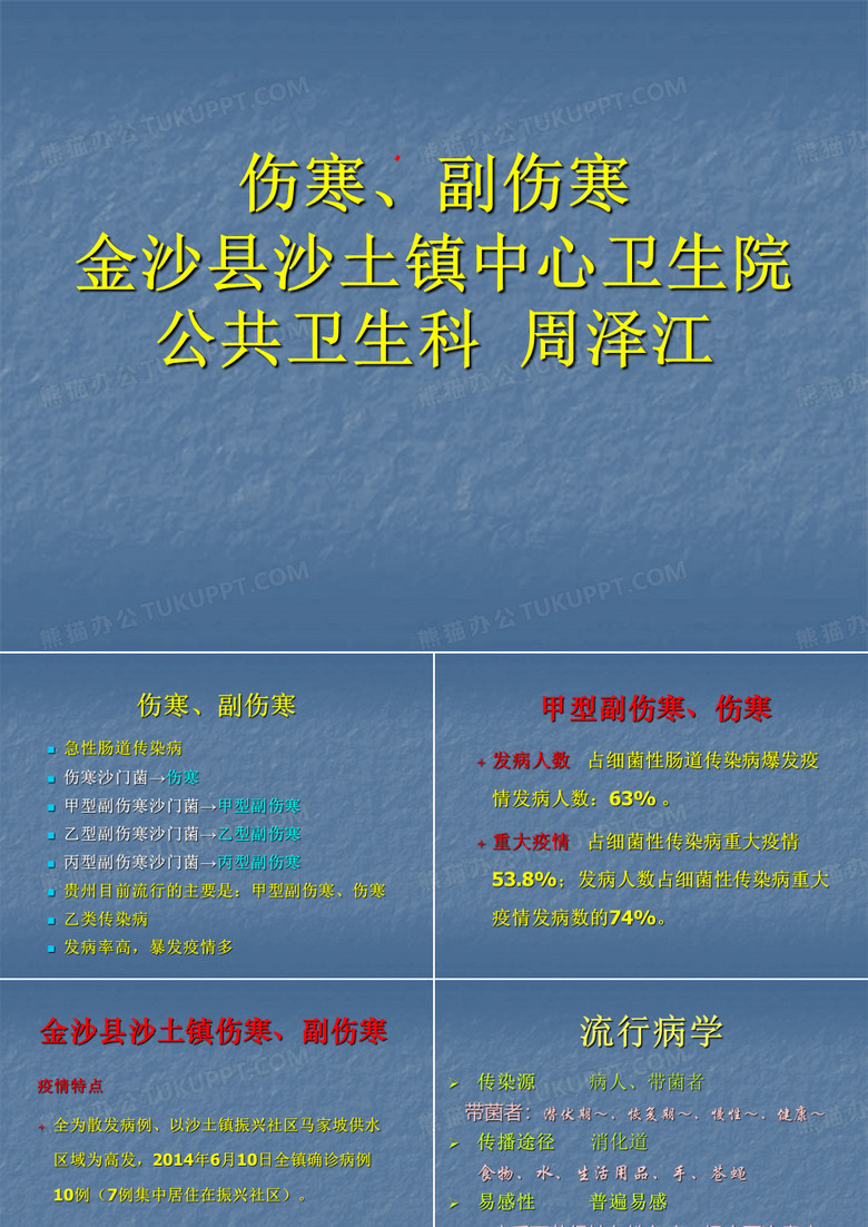 伤寒副伤寒