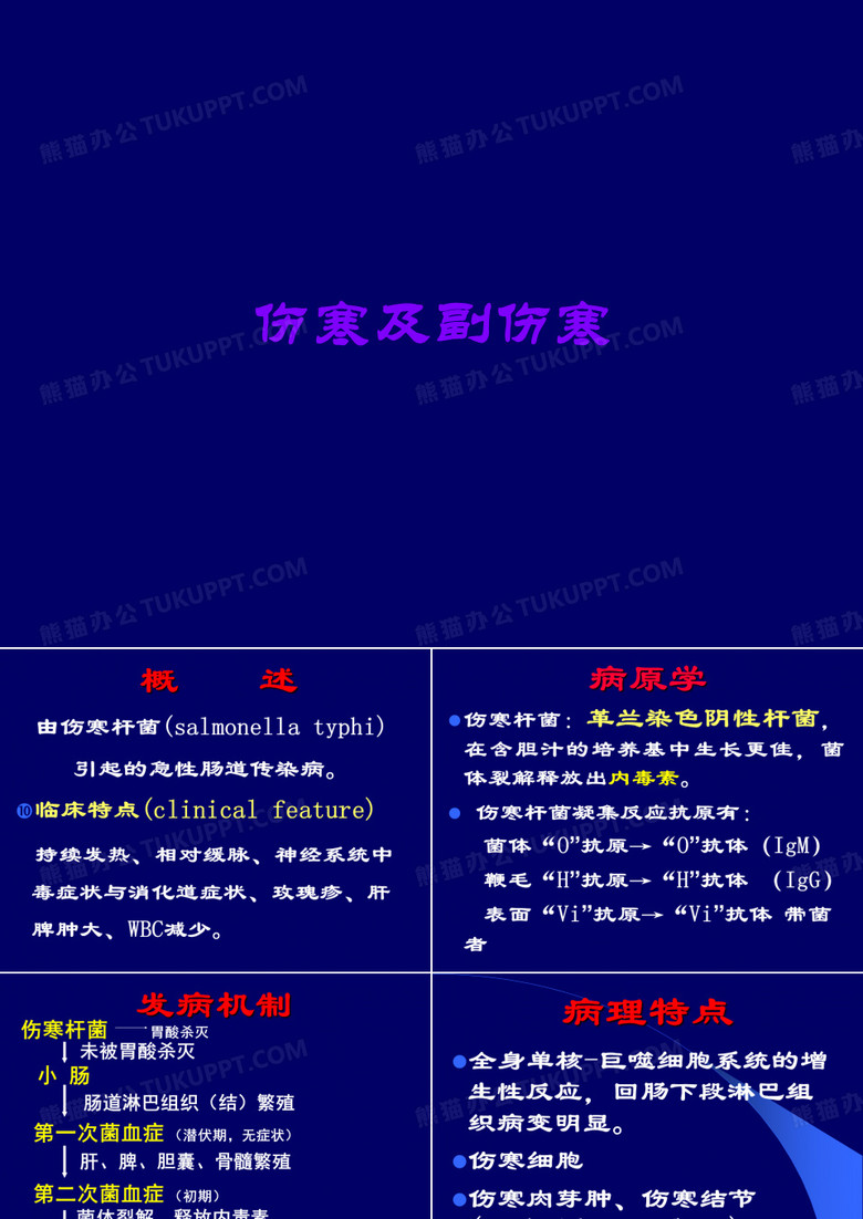 伤寒及副伤寒