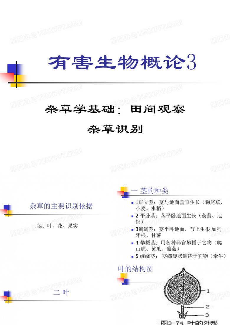 有害生物杂草杂草识别方法