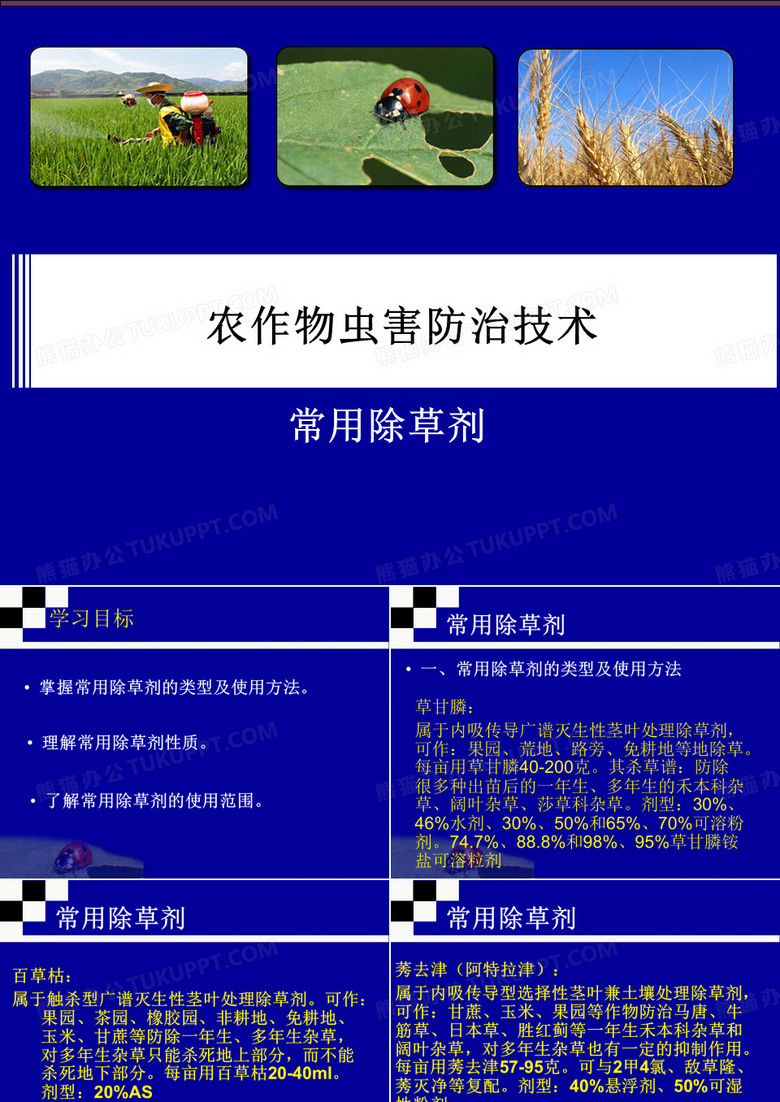 多年生杂草