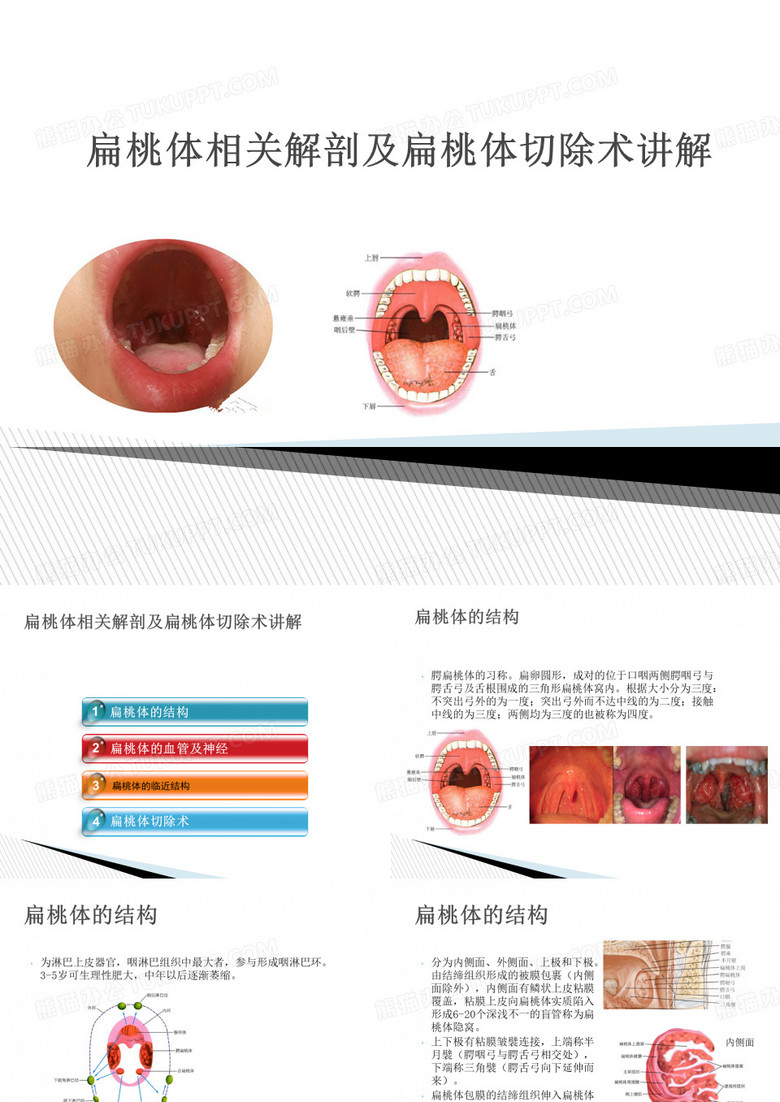 扁桃体相关解剖及扁桃体切除术讲解