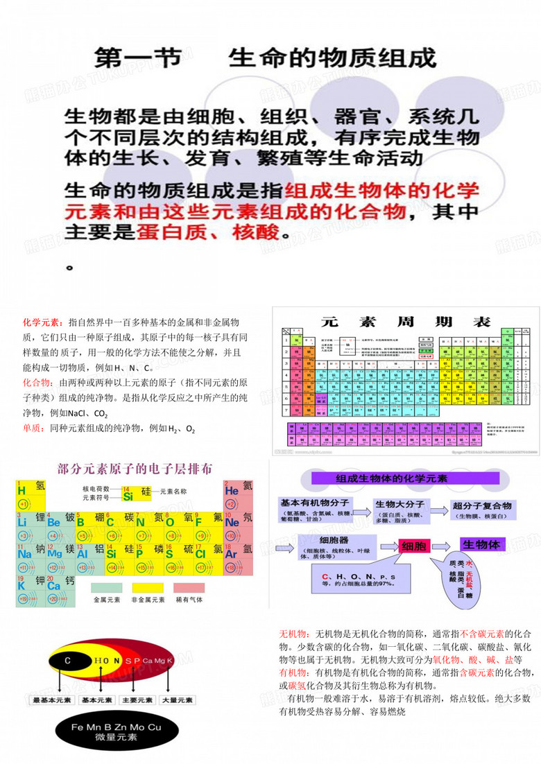 生命的物质组成