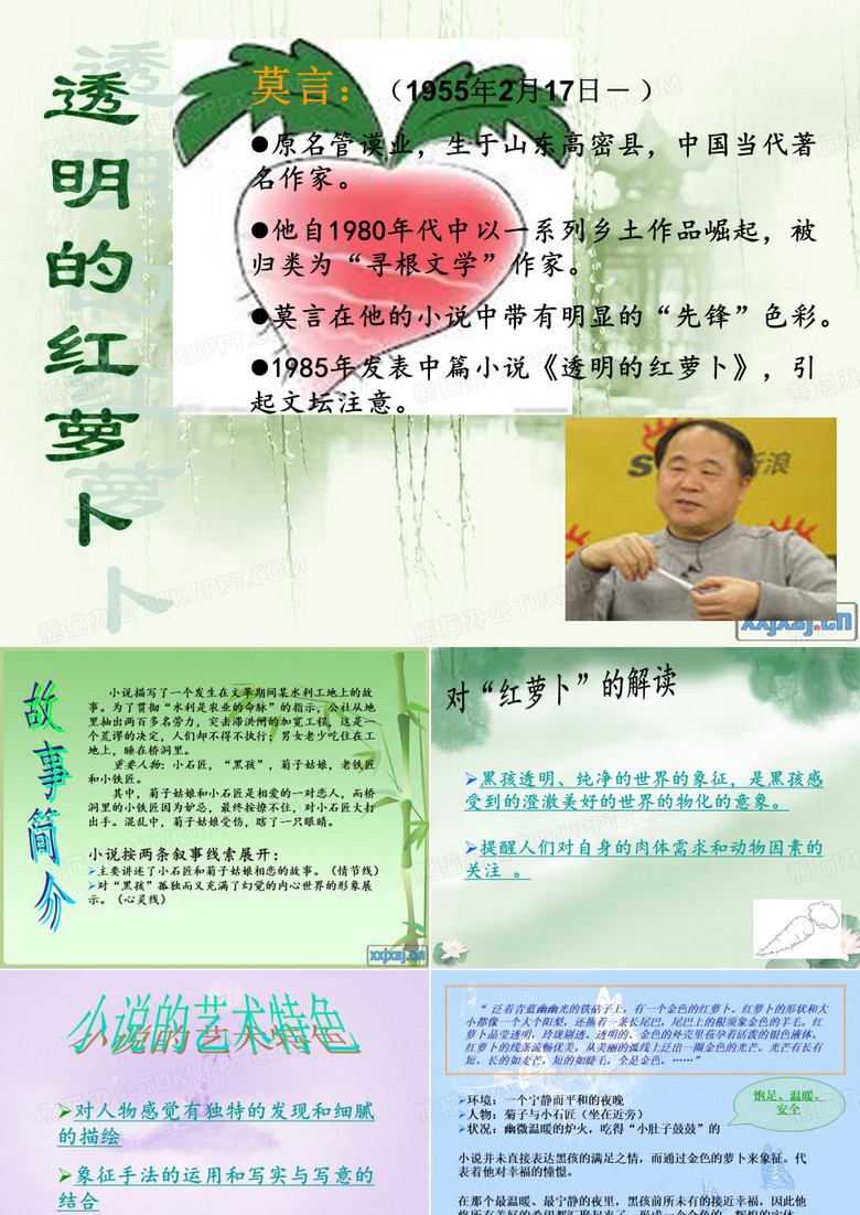 透明的红萝卜ppt