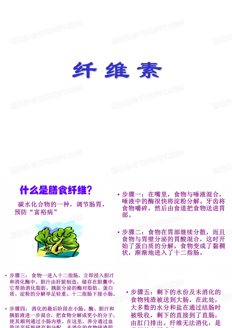 纤维素