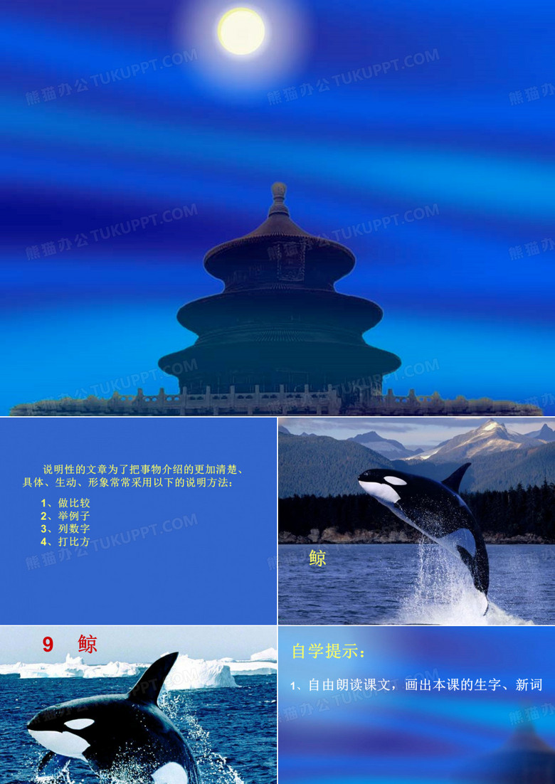 鲸课件