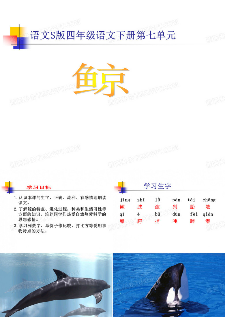 《鲸》课件