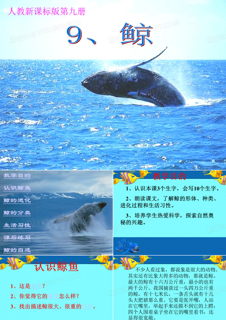 《鲸》的PPT课件