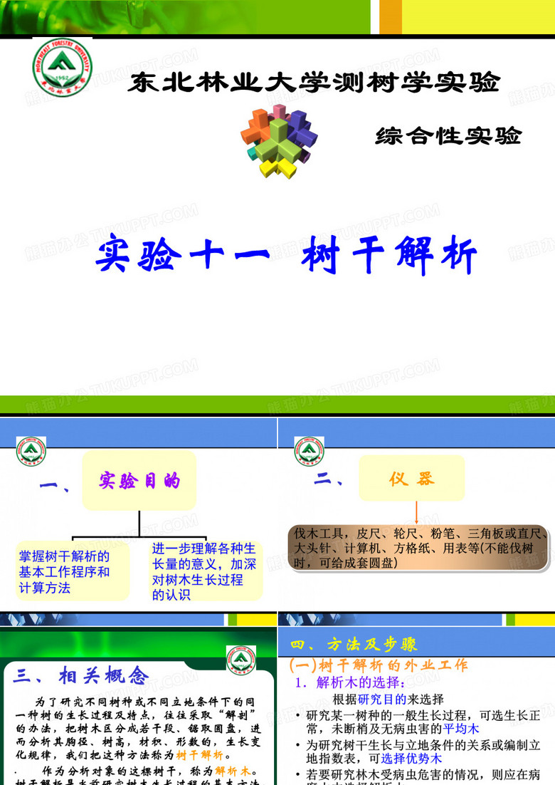 11实验十一、 树干解析