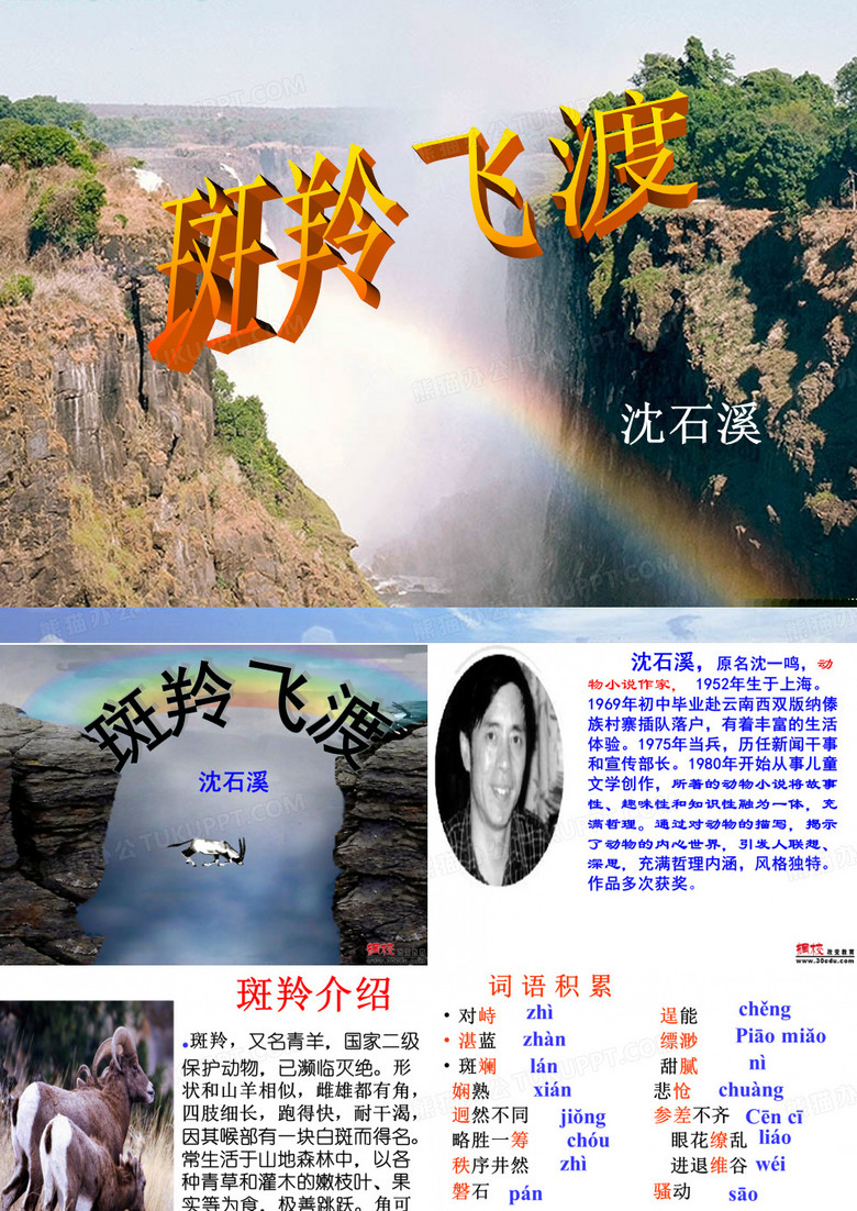 斑羚飞渡课件