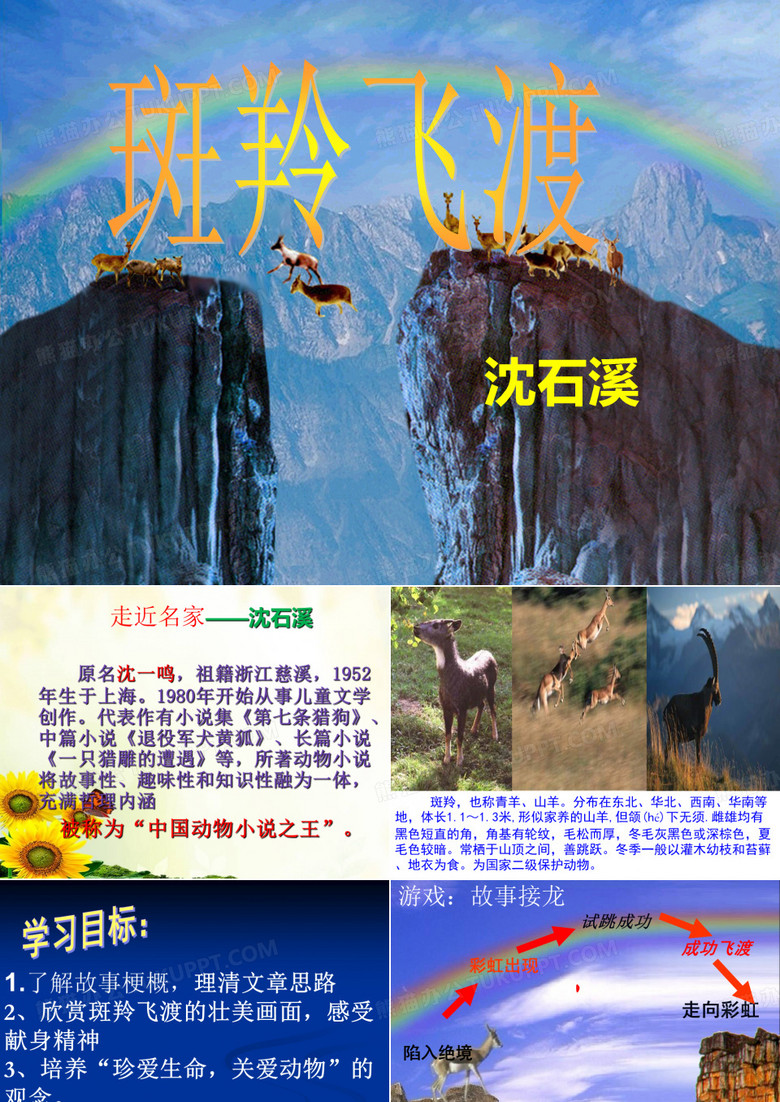《斑羚飞渡》课件
