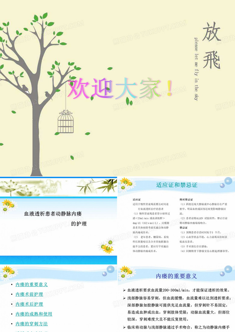 内瘘护理 PPT