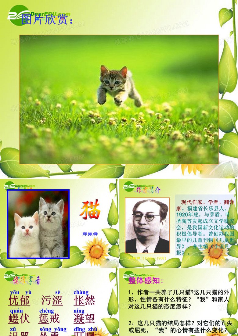 七年级语文《猫》