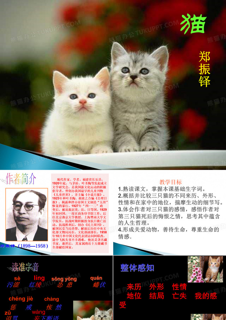 七年级语文上册：《猫》课件