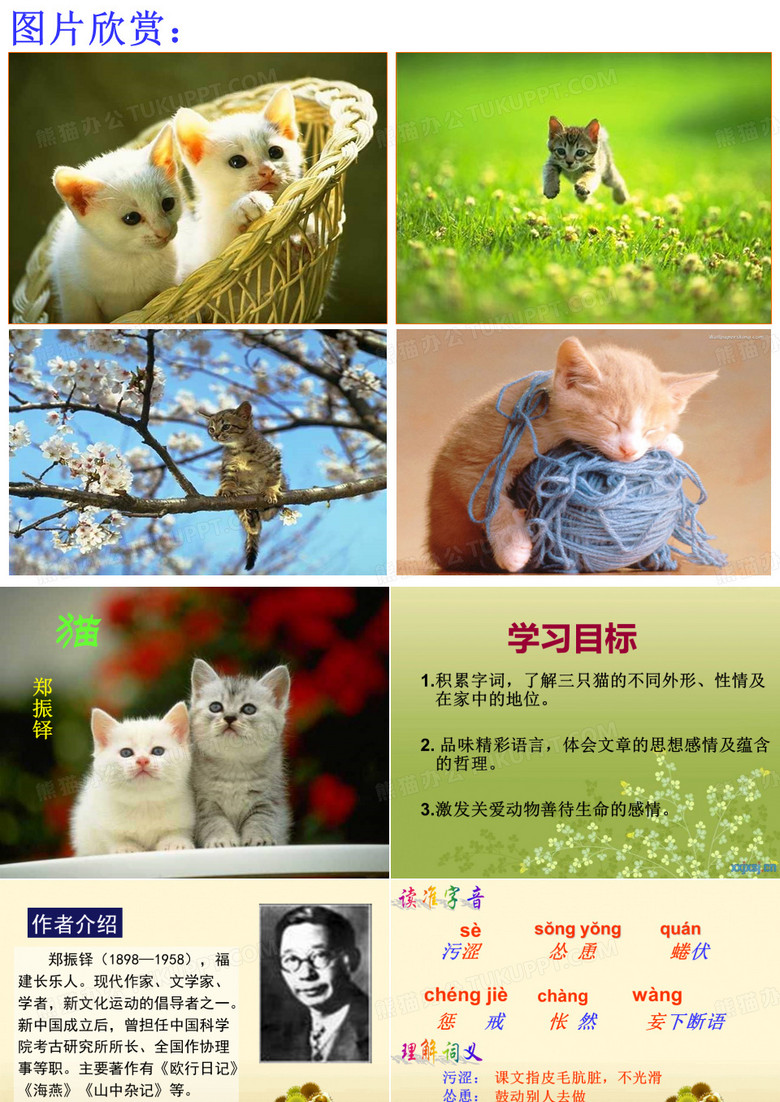 七年级下册语文《猫》课件