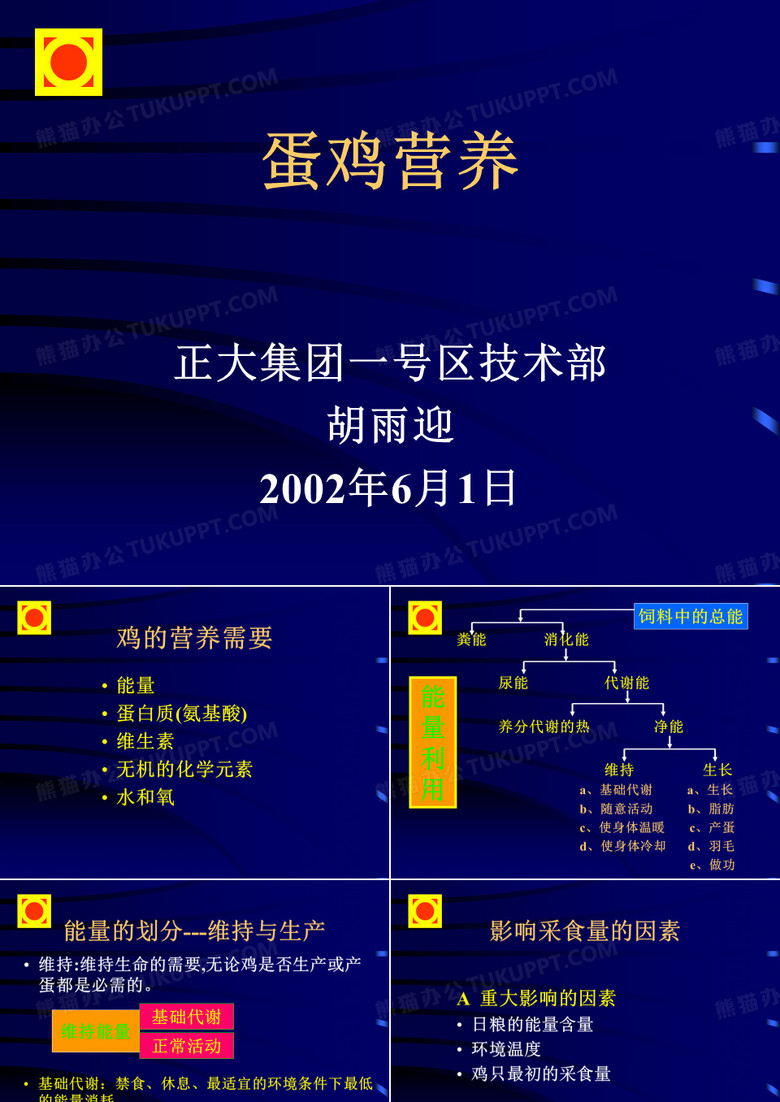 蛋鸡营养