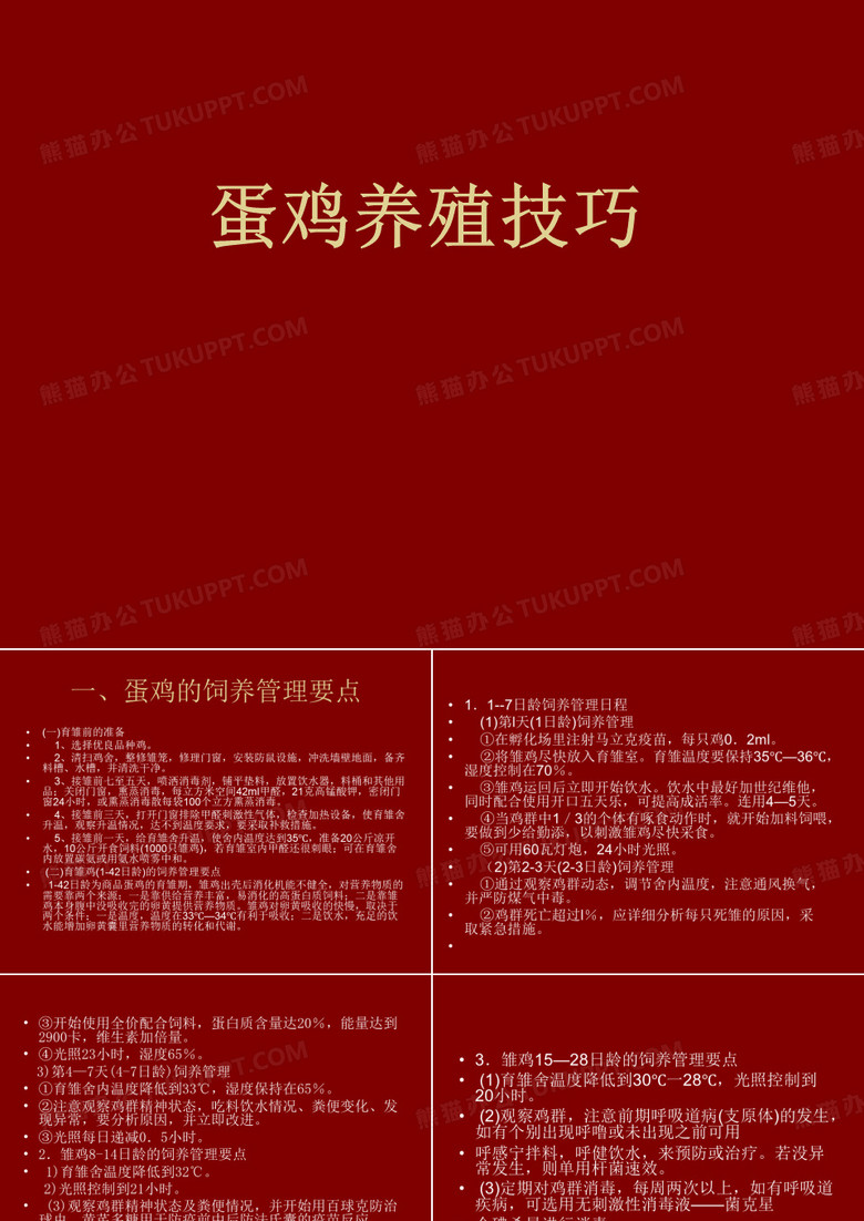 蛋鸡养殖