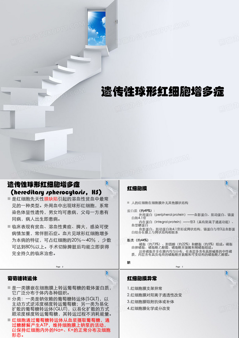 遗传性球形红细胞增多症