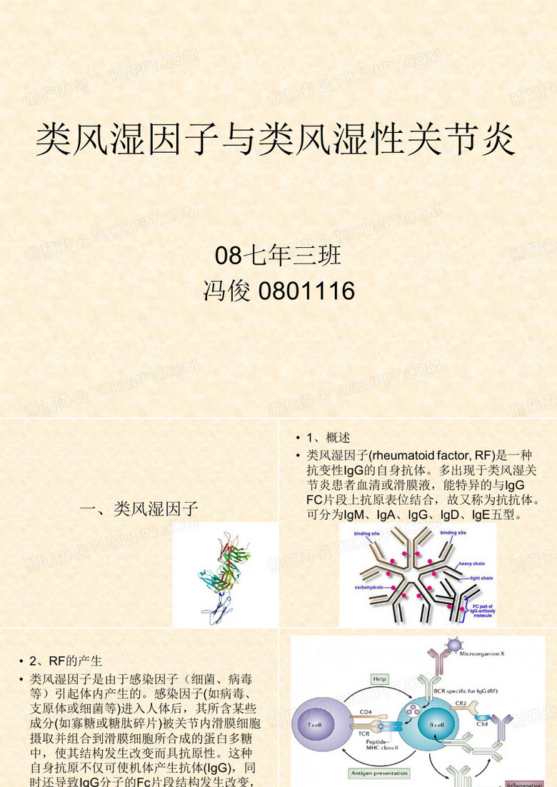 类风湿因子
