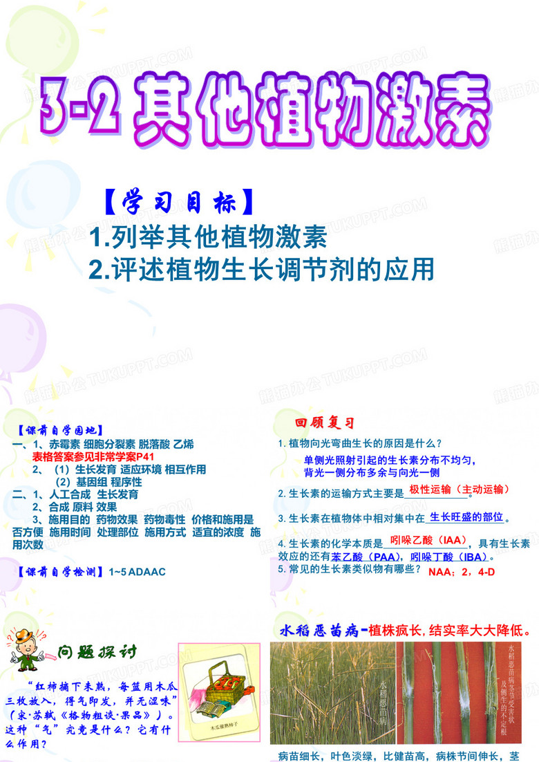 其他植物激素