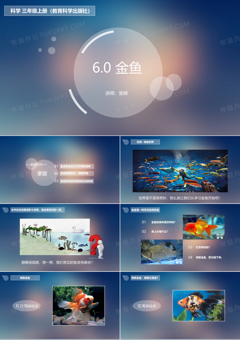 三年级科学《金鱼》公开课课件