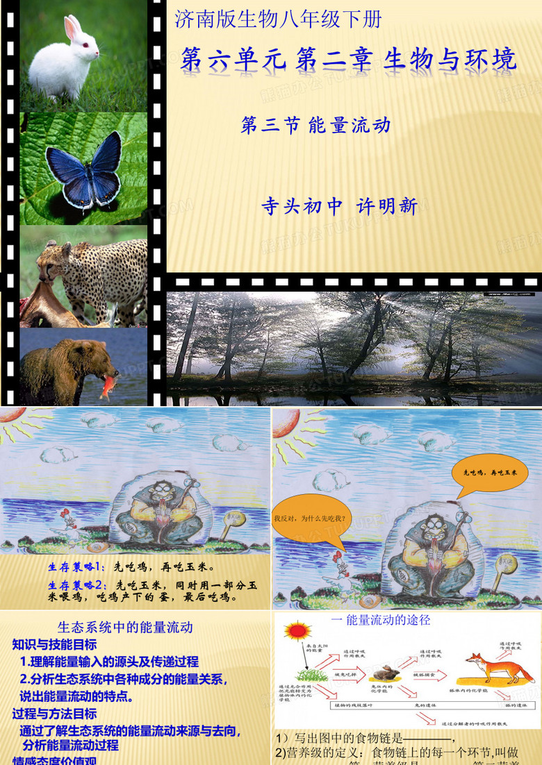 能量流动