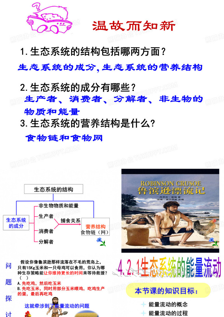 能量流动