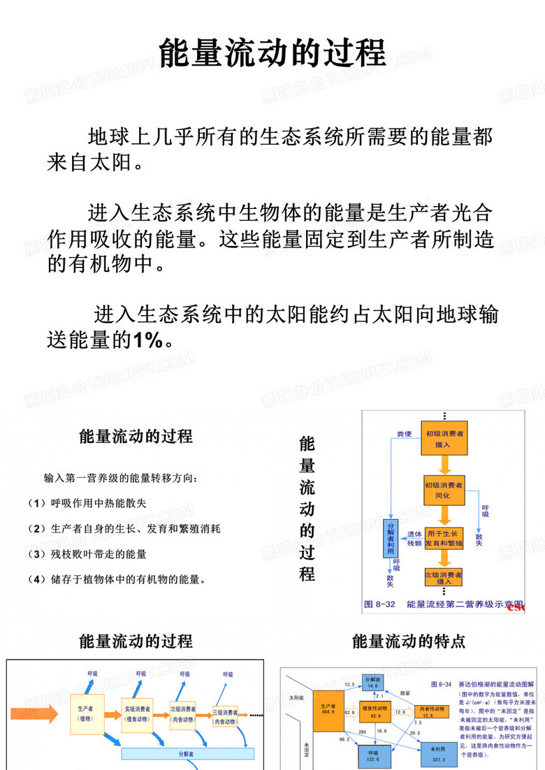 能量流动的过程