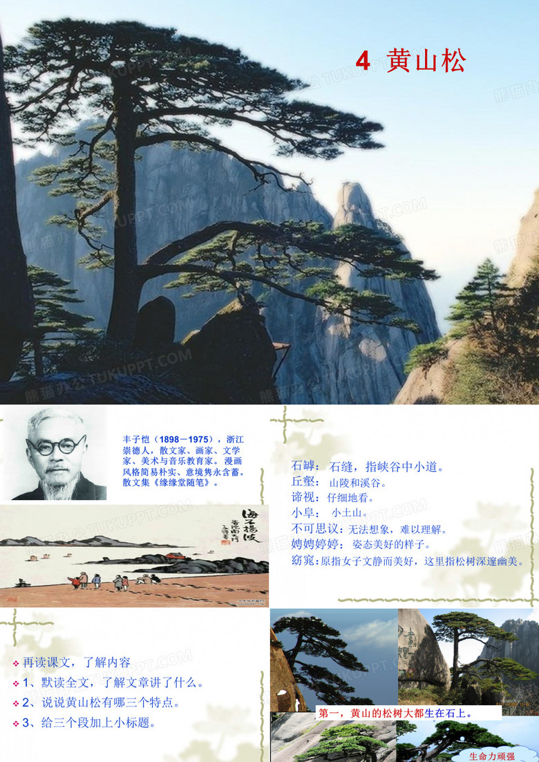 4、黄山松课件