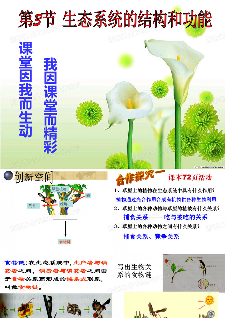 生态系统的结构和功能