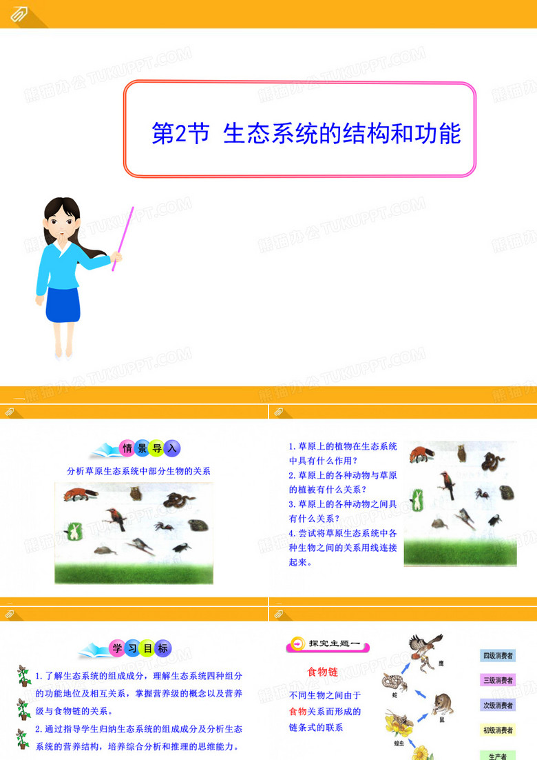 《生态系统的结构和功能》PPT