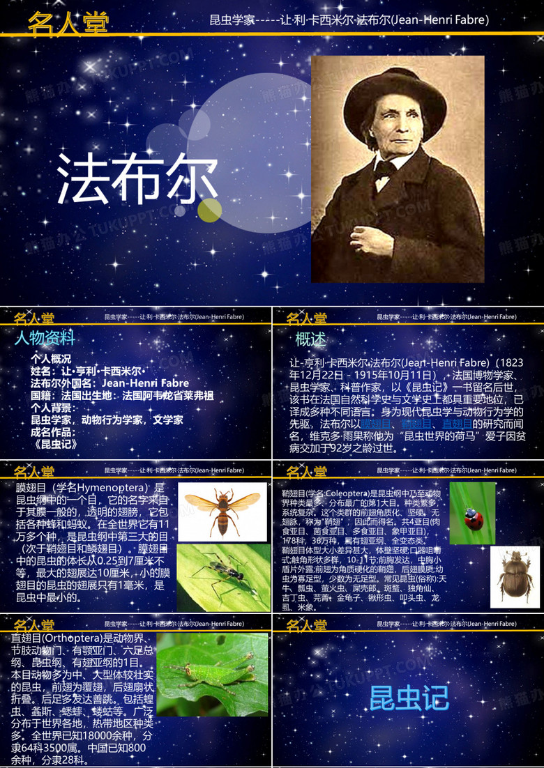 法布尔